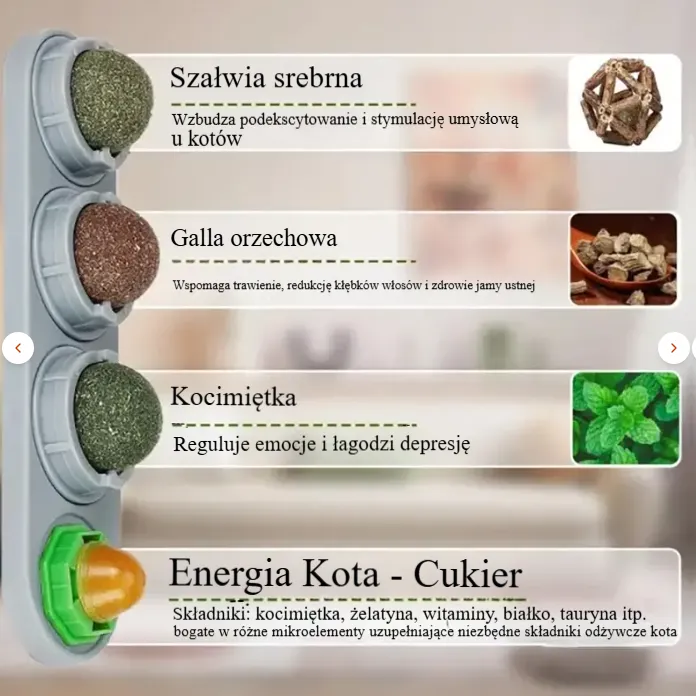 Naturalna kocimiętka dla kota4 w 1 , przyklejana na ścianę, zabawka-drapak, przysmak, zdrowy, naturalny, usuwa piłki, wspomagając trawienie, trawiasta przekąska dla kota