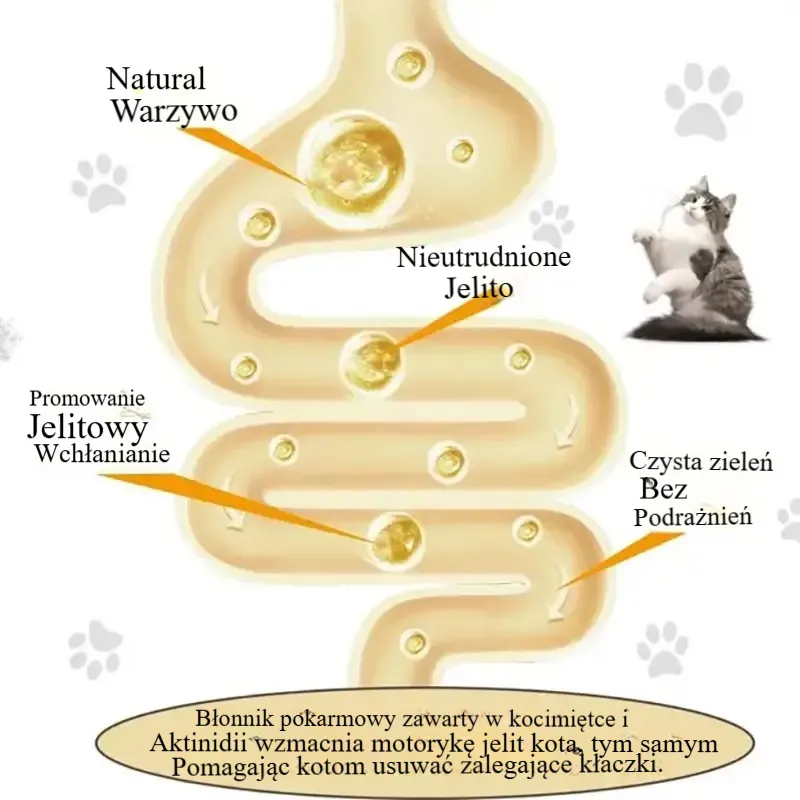 Naturalna kocimiętka dla kota4 w 1 , przyklejana na ścianę, zabawka-drapak, przysmak, zdrowy, naturalny, usuwa piłki, wspomagając trawienie, trawiasta przekąska dla kota