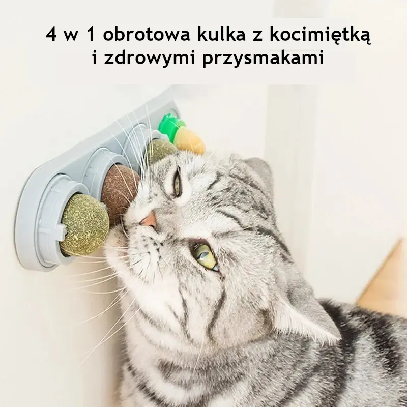 Naturalna kocimiętka dla kota4 w 1 , przyklejana na ścianę, zabawka-drapak, przysmak, zdrowy, naturalny, usuwa piłki, wspomagając trawienie, trawiasta przekąska dla kota