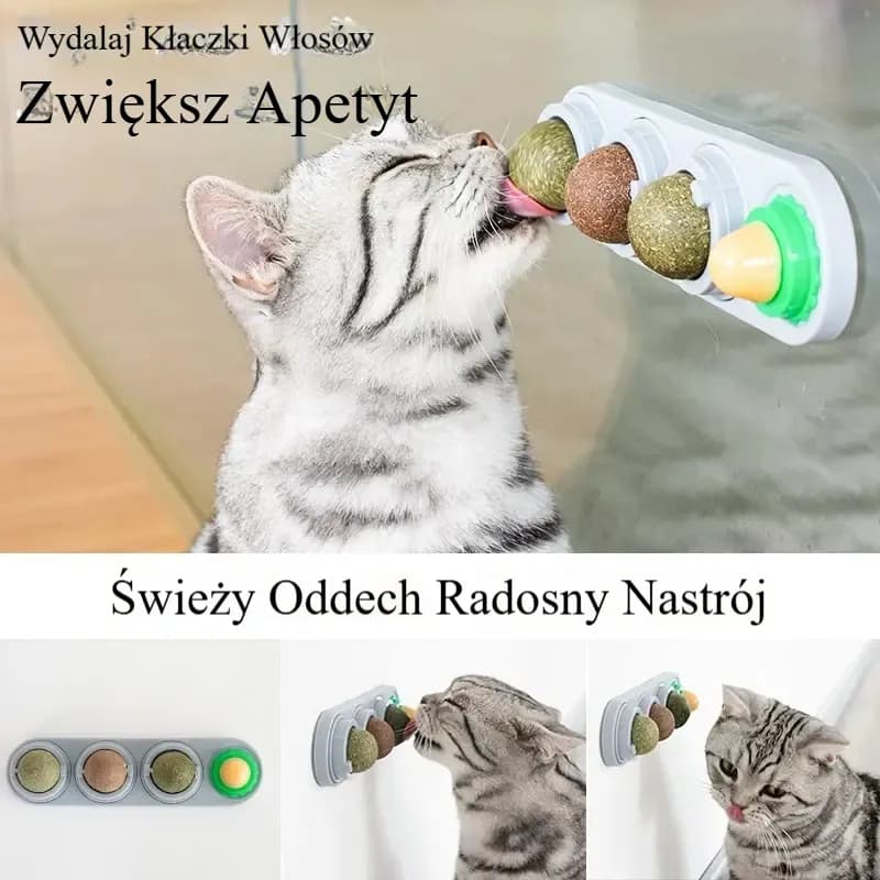 Naturalna kocimiętka dla kota4 w 1 , przyklejana na ścianę, zabawka-drapak, przysmak, zdrowy, naturalny, usuwa piłki, wspomagając trawienie, trawiasta przekąska dla kota